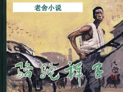 看料one最新今日看料